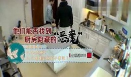 爆料新鲜娱乐,新鲜娱乐资讯大揭秘